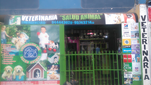 veterinaria